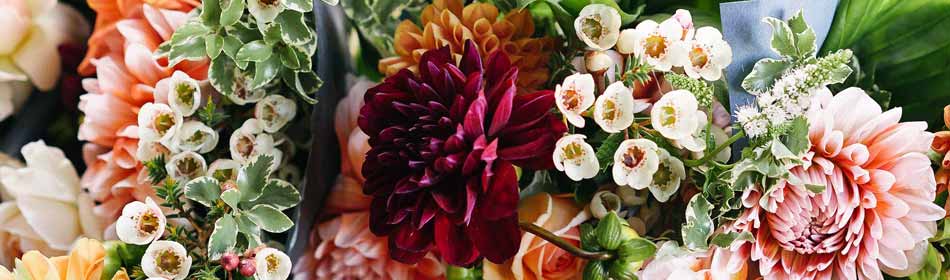 Florists, Floral Arrangements, Bouquets in the Doylestown, Bucks County PA area