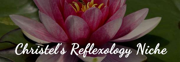 Enjoy stress reduction & pain relief! SPECIAL - 60 min. reflexology session @ $40 (normally $80)! Gift certs available.