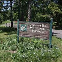 Bowmans Hill Wildflower Preserve