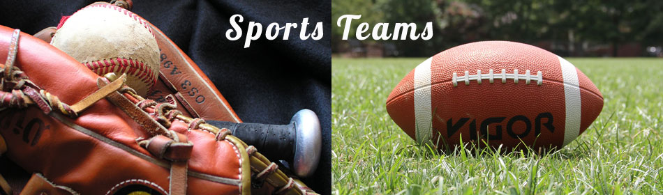 Sports teams, football, baseball, hockey, minor league teams in the Doylestown, Bucks County PA area
